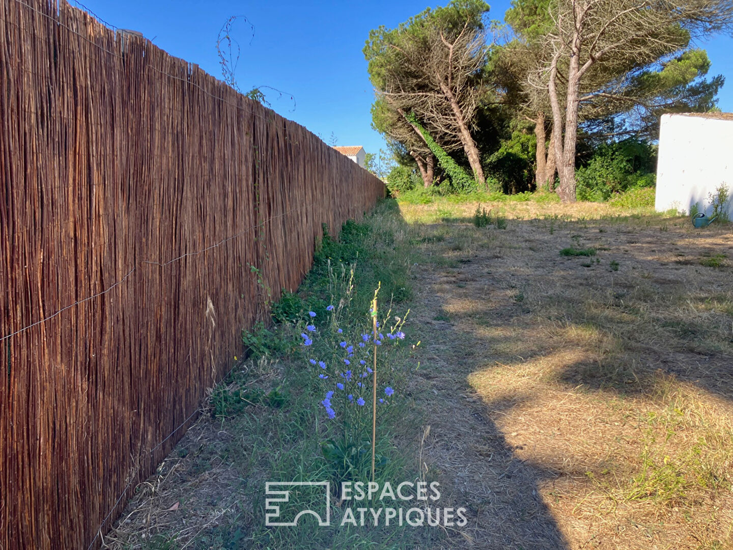 Building land 100 meters from the beach