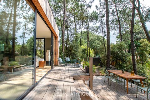 Villa en bois sur la dune et dans la canopée