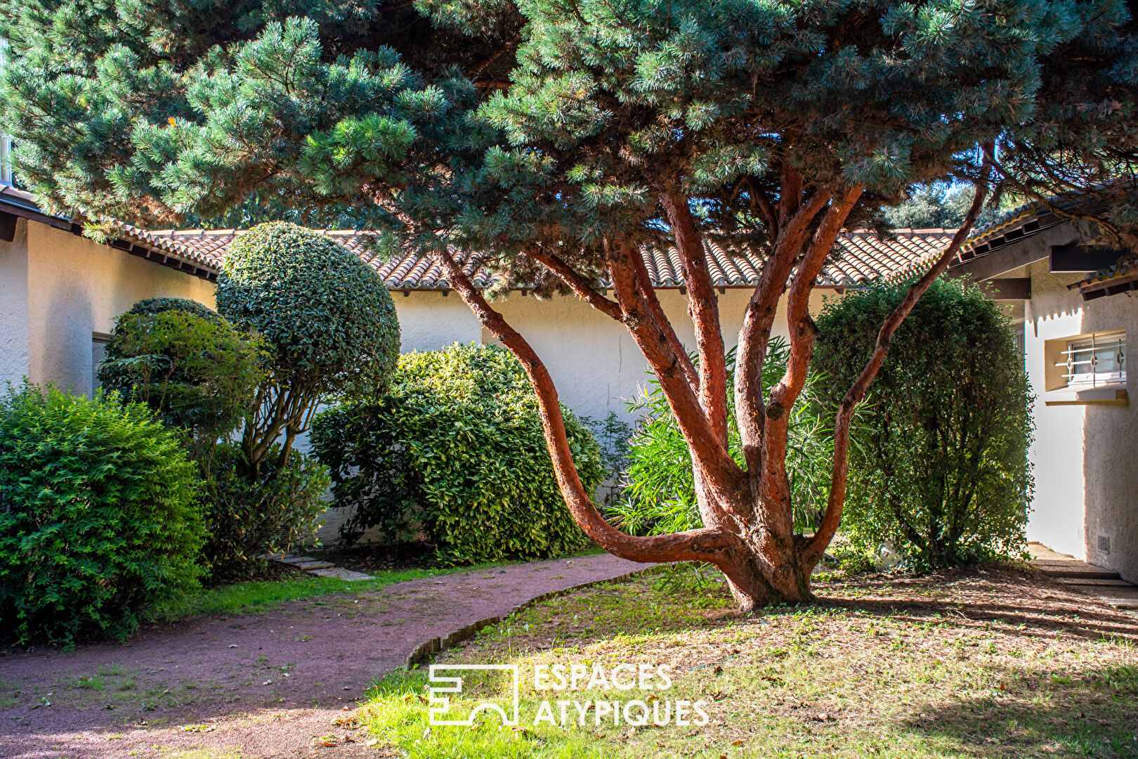 Single-story property with swimming pool in landscaped grounds