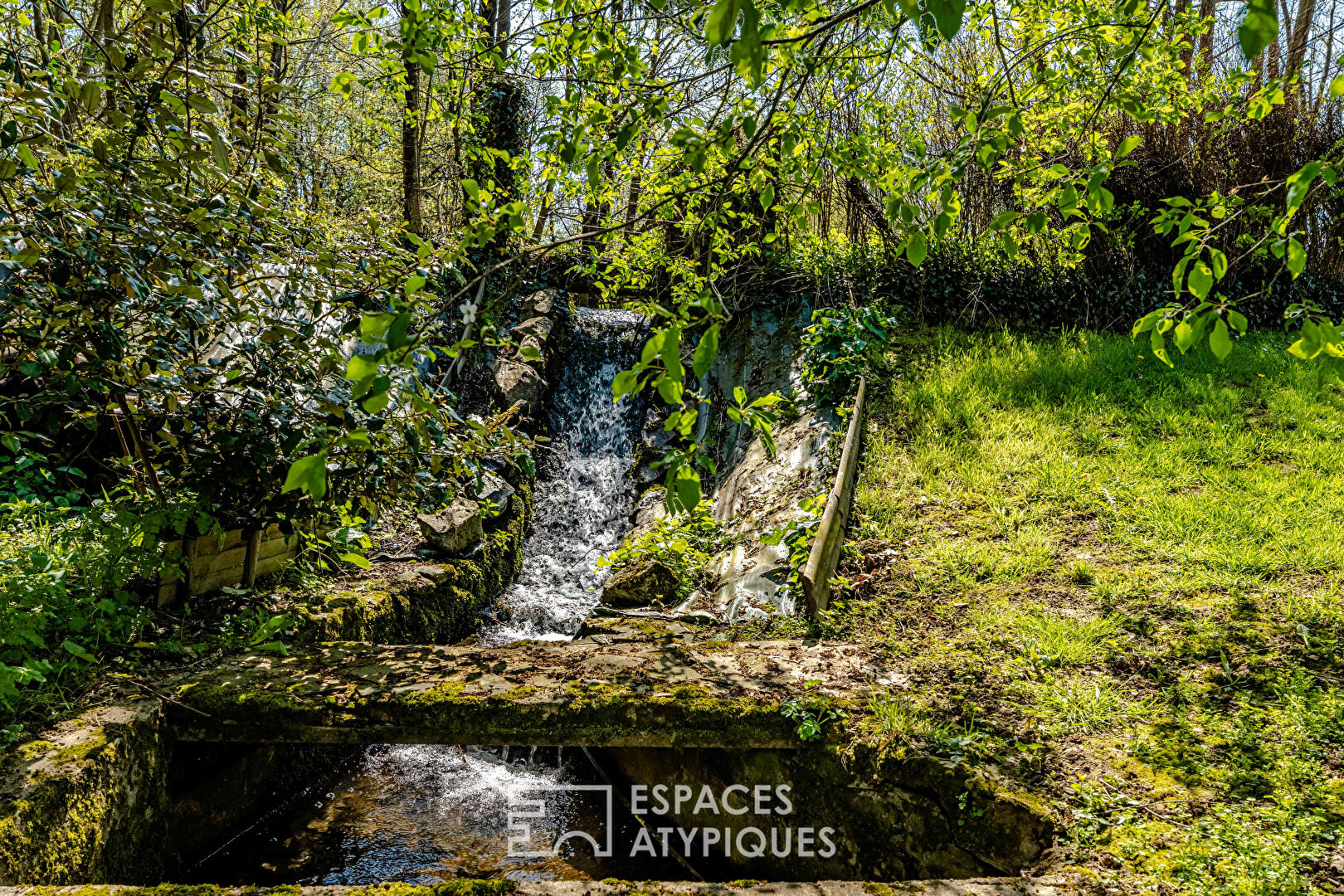 Propriété bucolique et son étang
