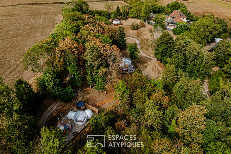 Maison familiale avec piscine et gîtes