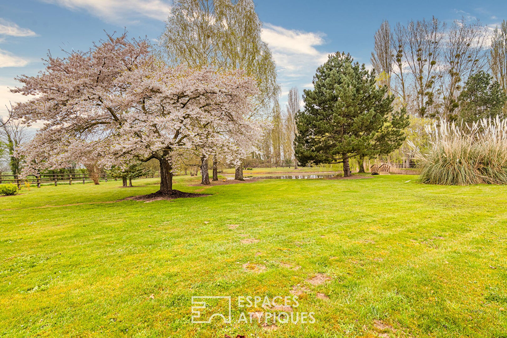 Beautiful domain of 5 hectares in the middle of the Normandy countryside