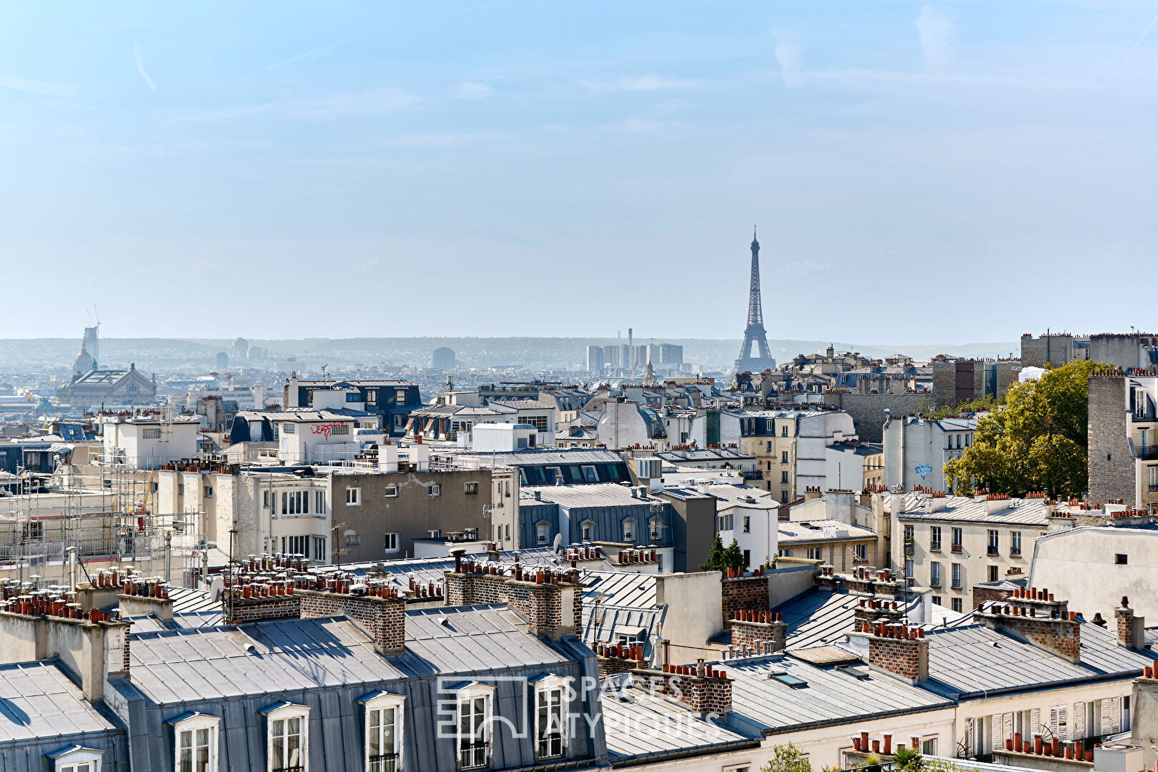 Derniers étages sous dôme avec vue panoramique sur Paris