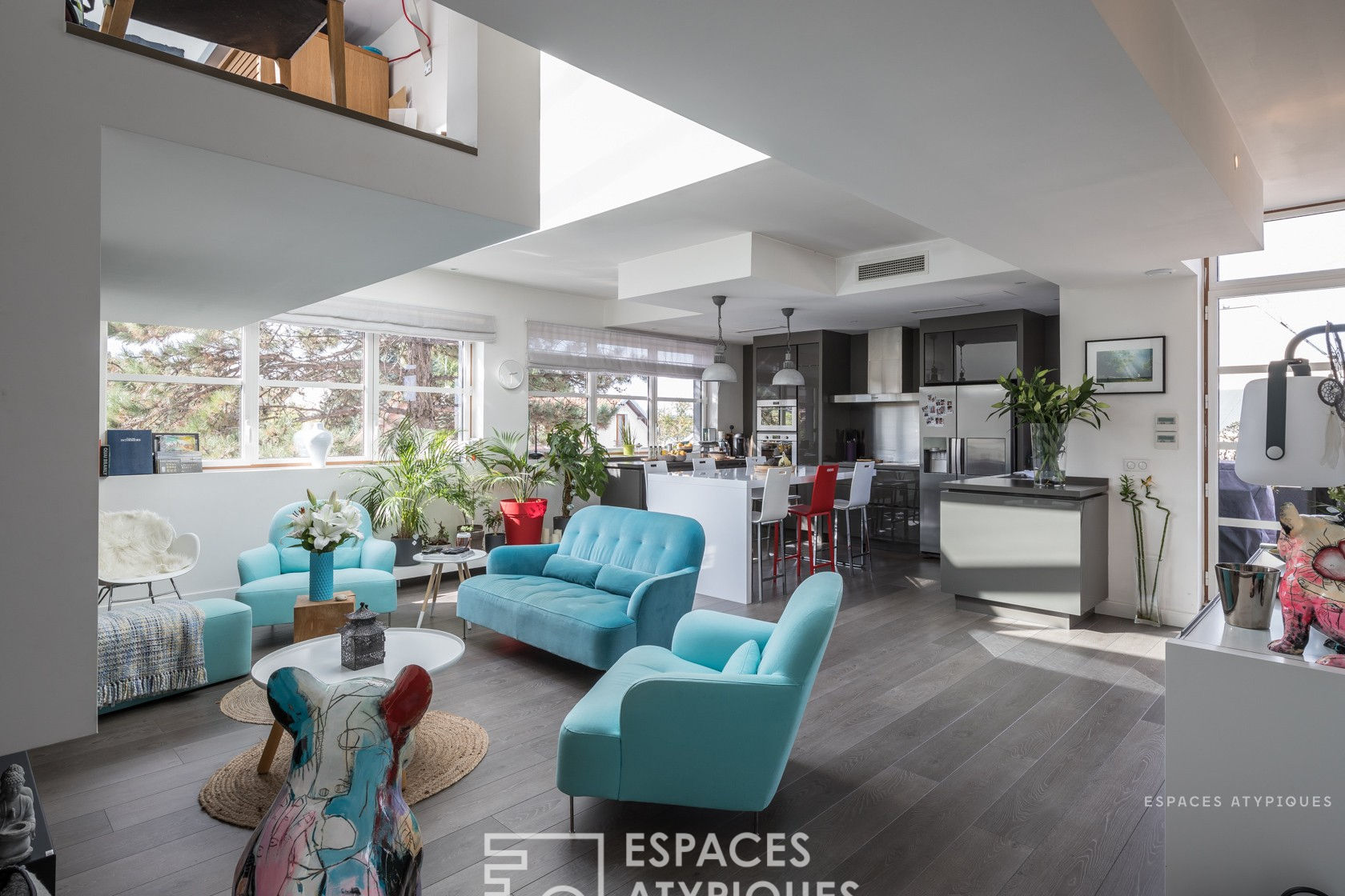 Loft with terraces in former factory