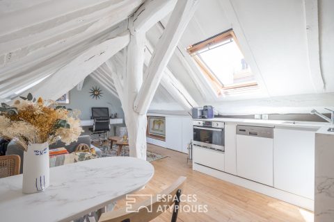 Bohemian attic top floor