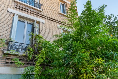 House with great potential in the city center