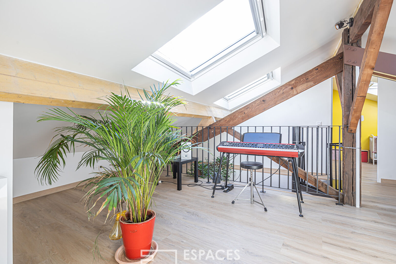 Attic duplex on the top floor