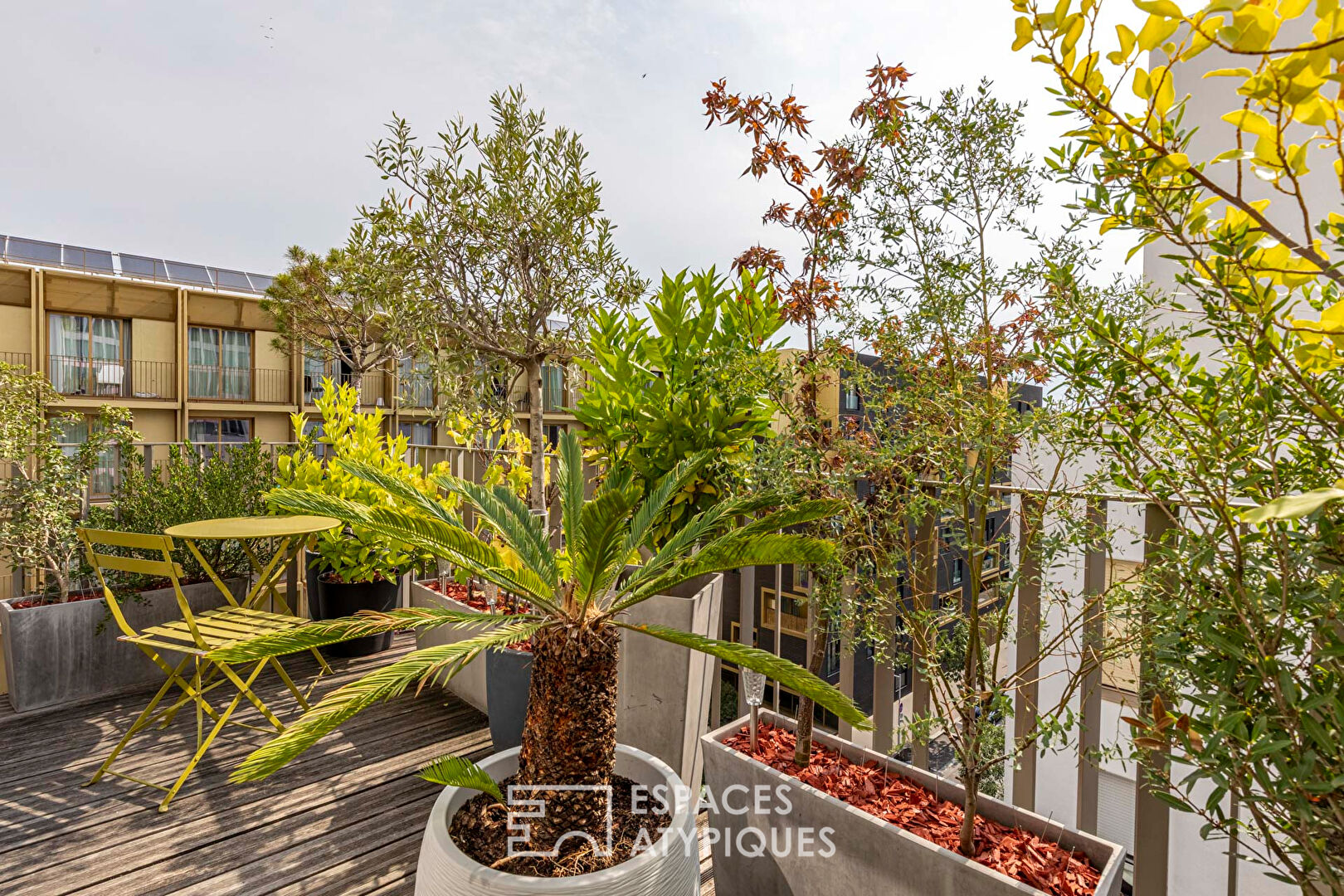 Contemporary apartment and continuous terrace