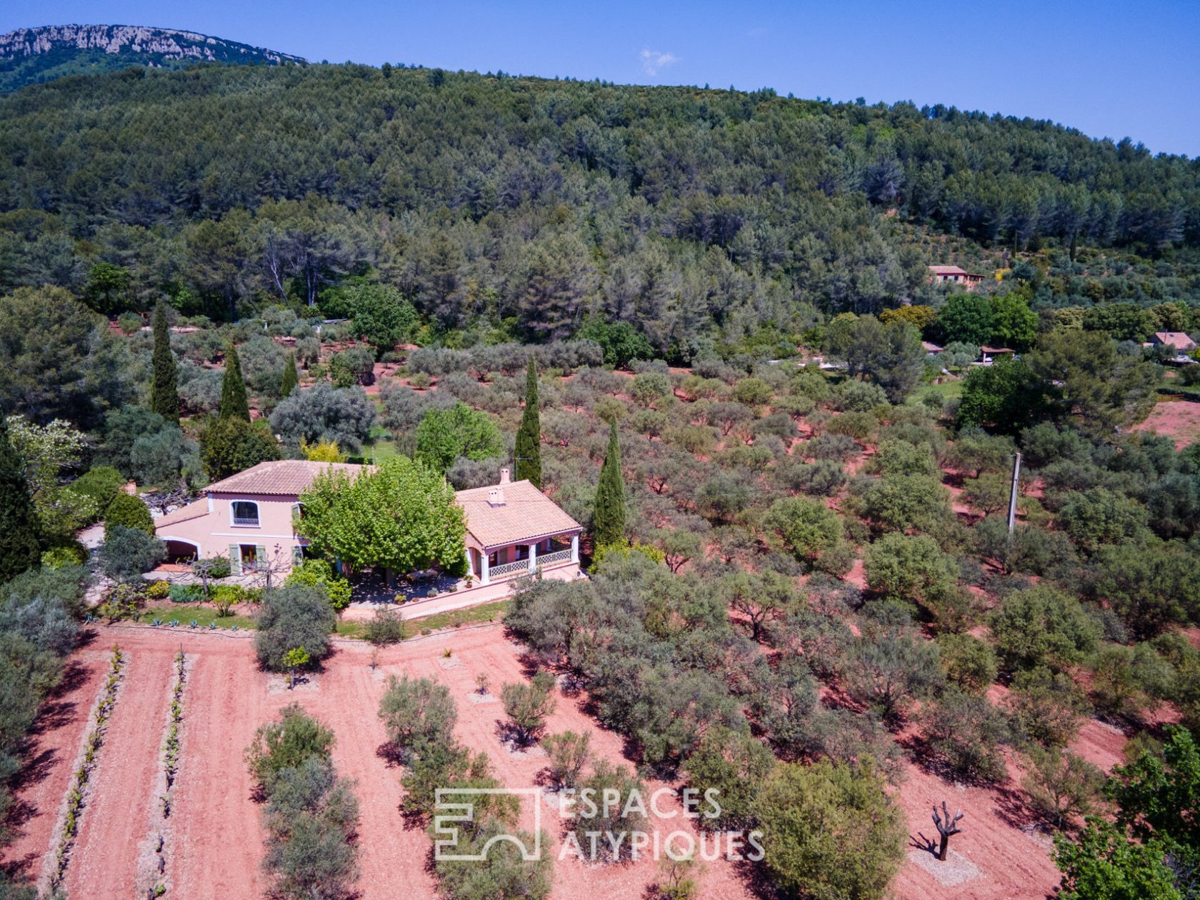 Beautiful country house on a magnificent olive grove of 18,000 m2
