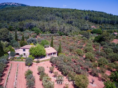 Beautiful country house on a magnificent olive grove of 18,000 m2