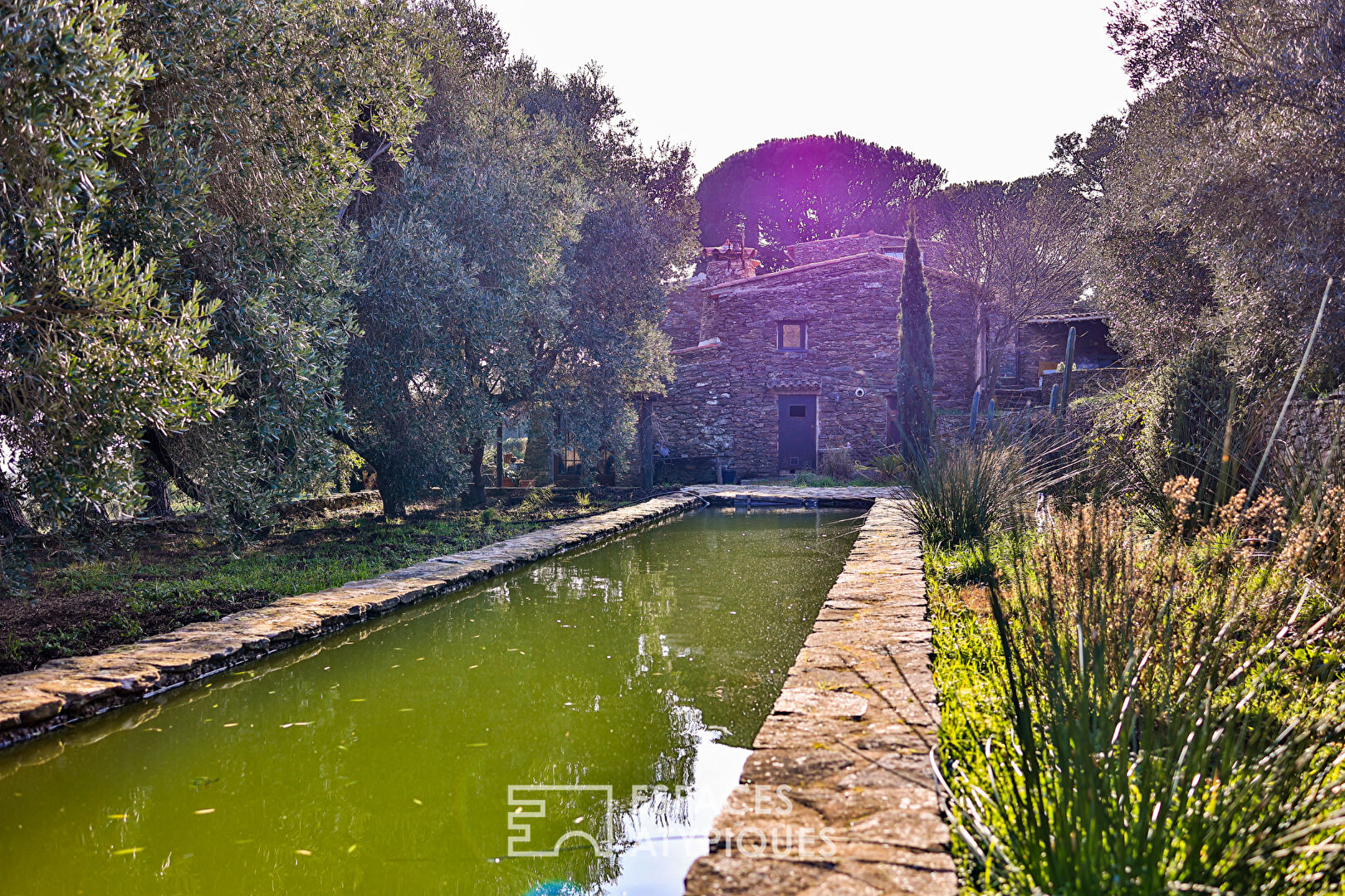 Stunning natural setting for this 17th century farmhouse facing the Mediterranean