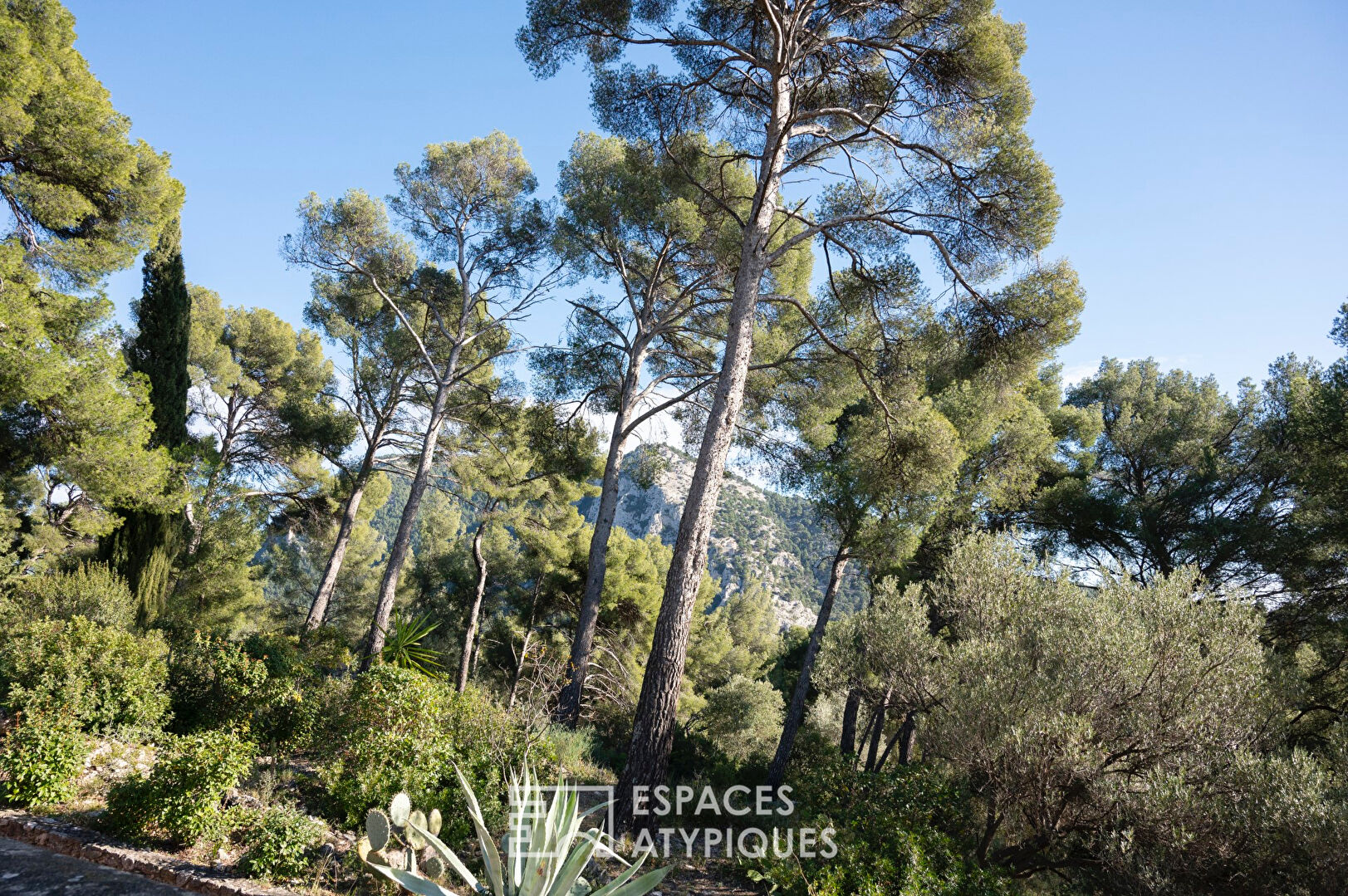 Historic property overlooking Toulon harbor