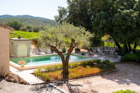 Domaine avec vignoble, oliveraie et annexes