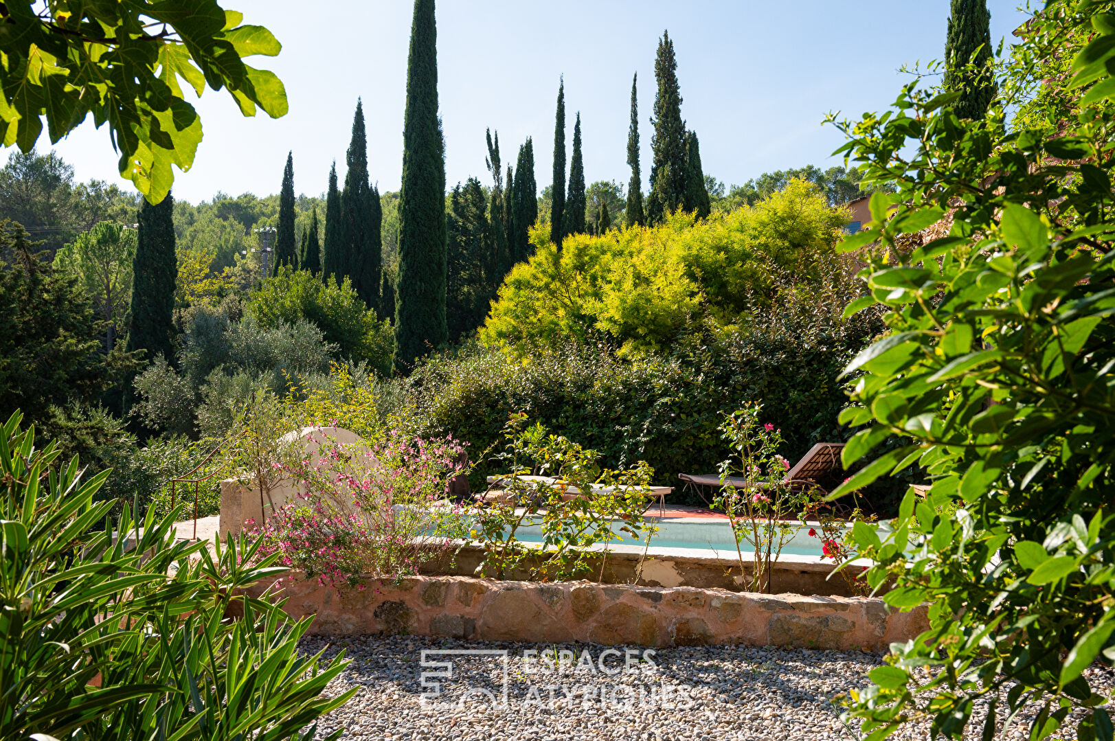 Maison en pierre rénovée avec piscine et jardin