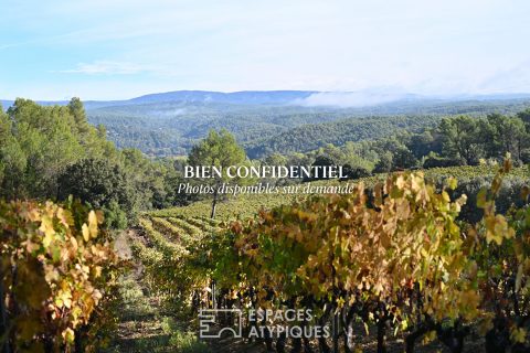 Château de caractère héritage provençal viticole