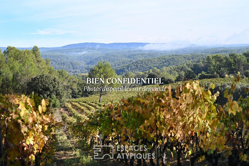 Château de caractère, un héritage provençal viticole