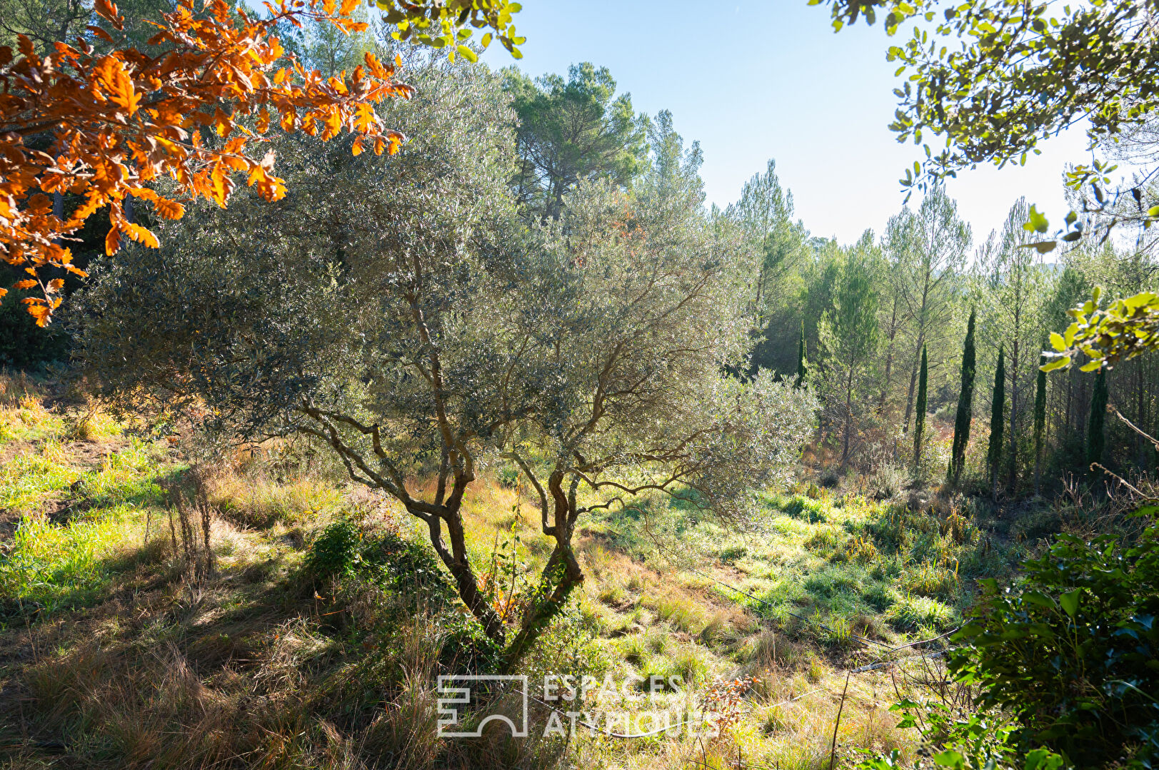 Maison de caractère dépendance, piscine et vue