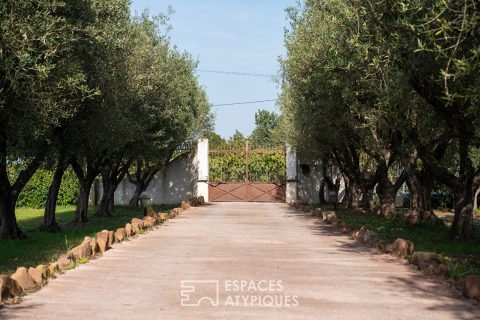 Authentic Provencal farmhouse with swimming pool and wooded grounds