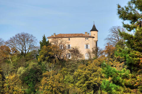 Château de caractère entièrement restauré et ses dépendances en position dominante