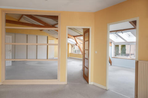 Plateau style loft et combles à aménager