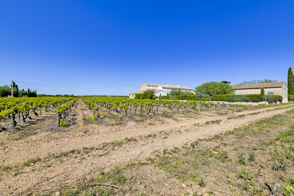 Mas of exception surrounded by its vineyards