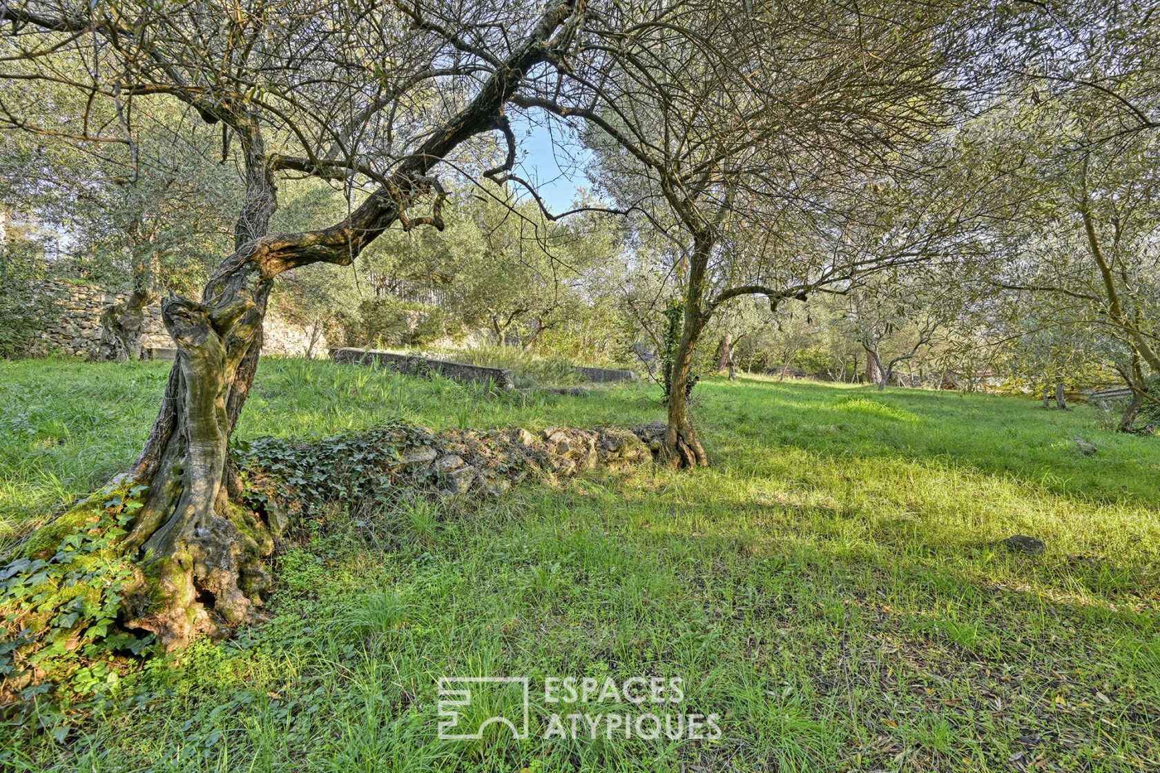 Mazet à rénover sur  beau terrain