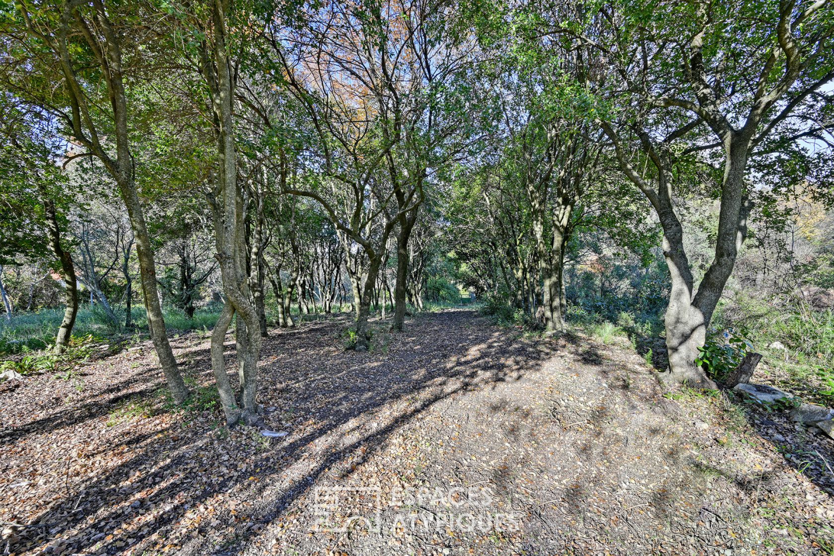 Mazet to renovate on large wooded land