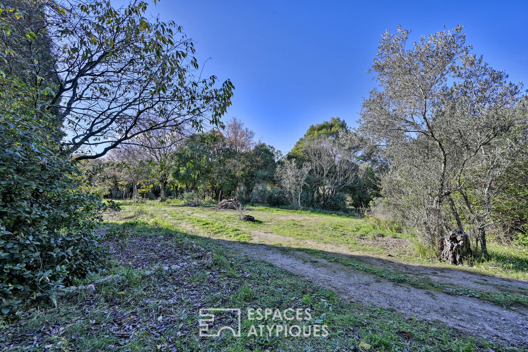 Mazet to renovate on large wooded land