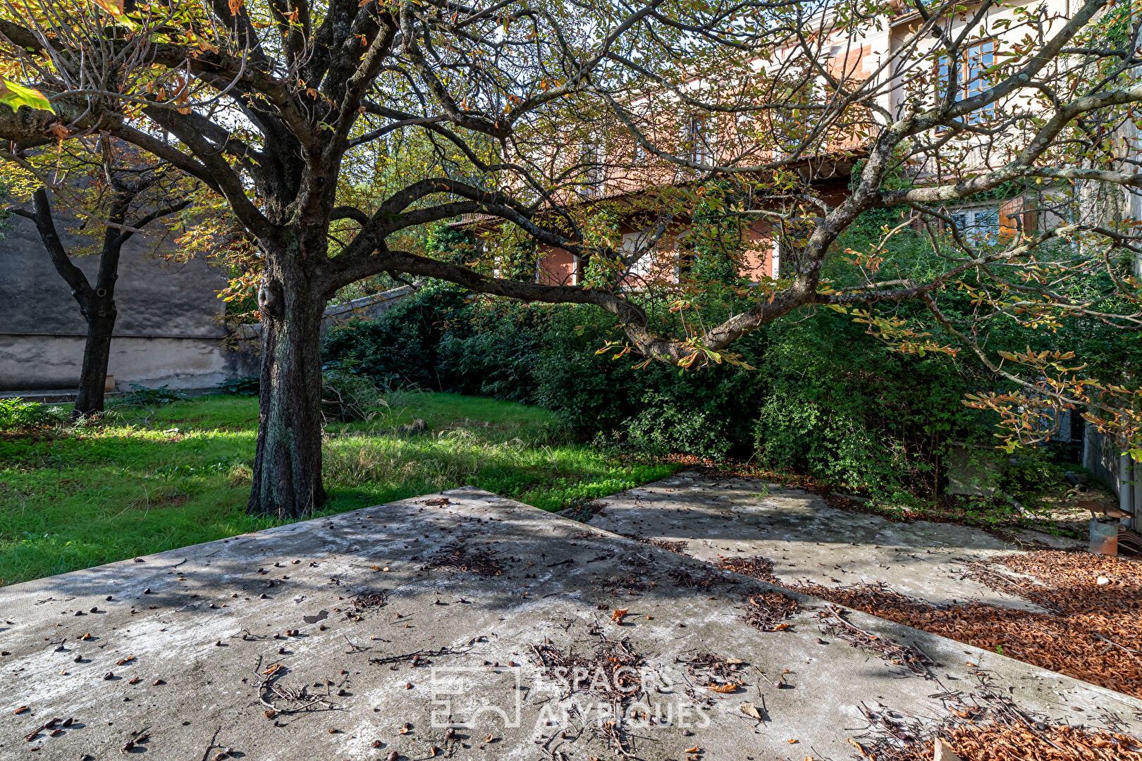 Majestic residence and its garden in town