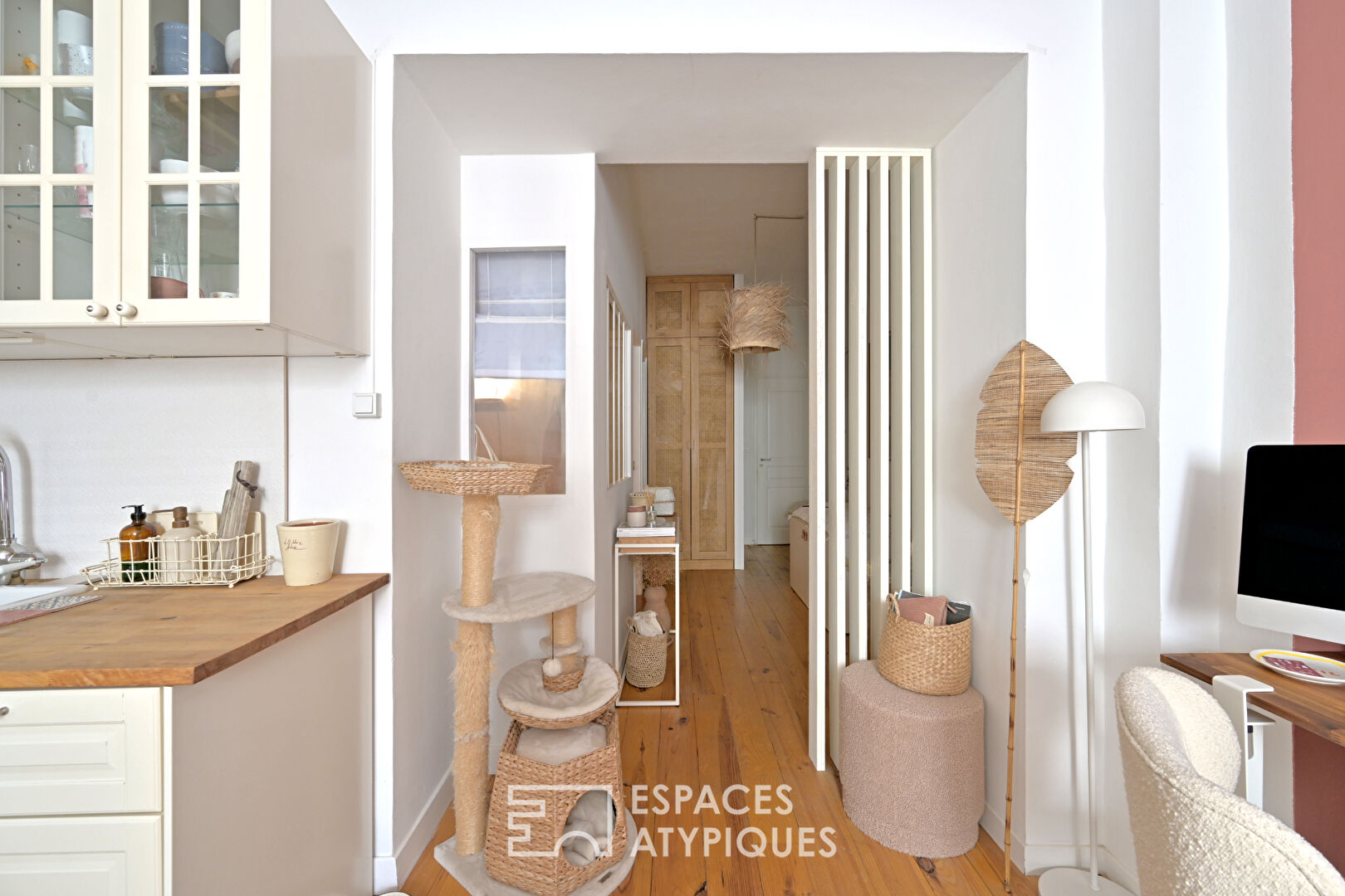 Lumière et sérénité : appartement rénové aux portes de l’Écusson