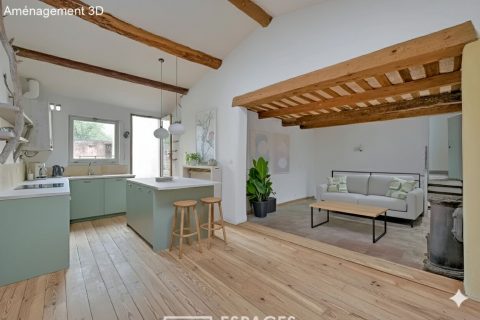 Maison ancienne et sa terrasse secrète