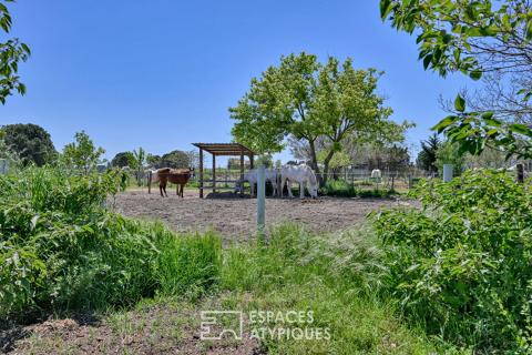 Mas contemporain avec piscine en Camargue