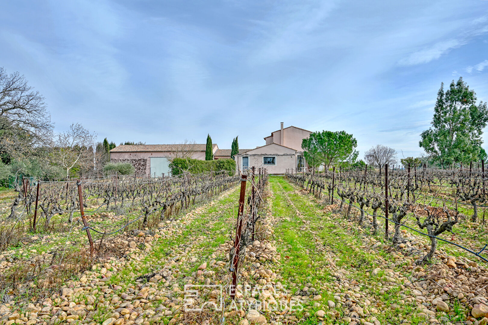 Family home surrounded by vineyards