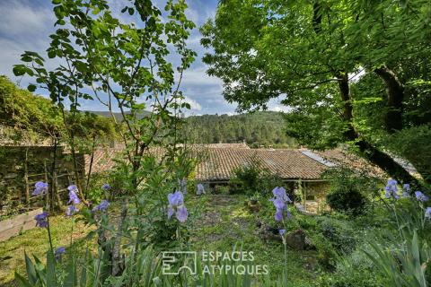 Maison de village de caractère avec terrasses, jardin et caves voûtées