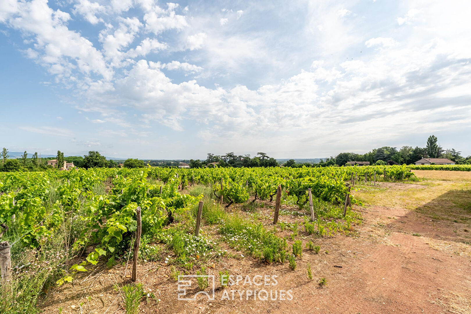 Vue d’exception sur les vignes pour cette maison à réinventer