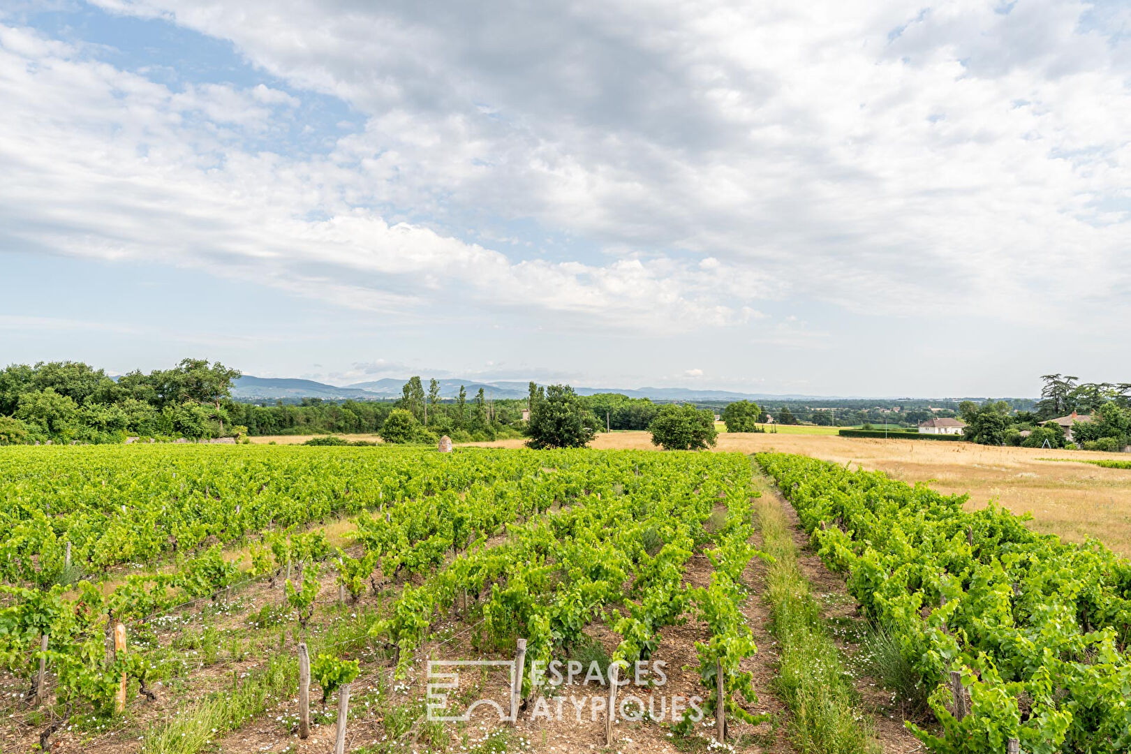 Maison à rénover avec vue imprenable sur les vignobles