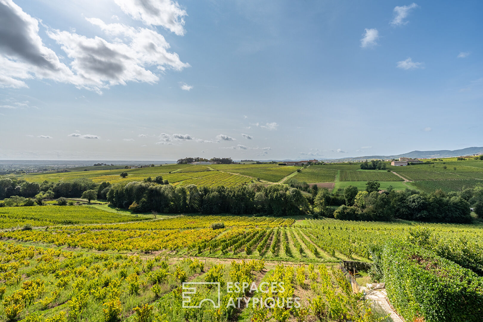Maison de caractère avec vue imprenable sur les Crus de Beaujolais