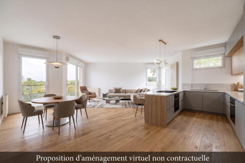 Appartement avec terrasse vue sur la Saône
