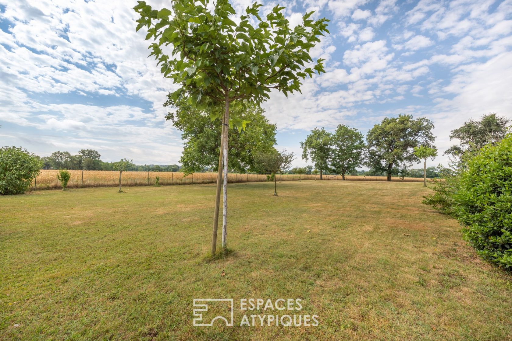 Renovated farmhouse with swimming pool