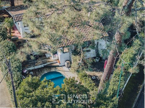 Authentic Basque Landes Villa in Abatilles