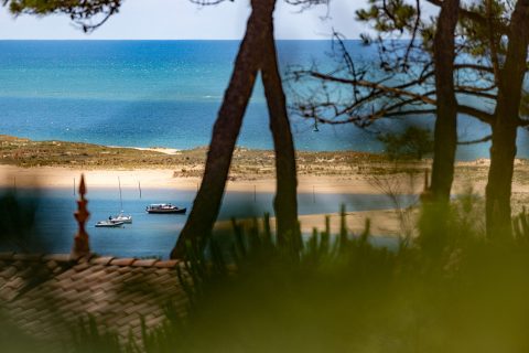 Appartement d&rsquo;exception avec sa terrasse face au Bassin