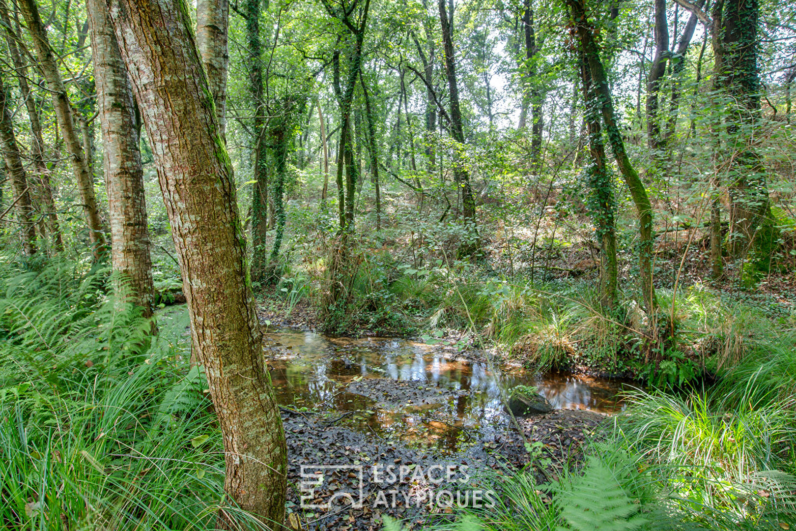 Landes house in the heart of nature