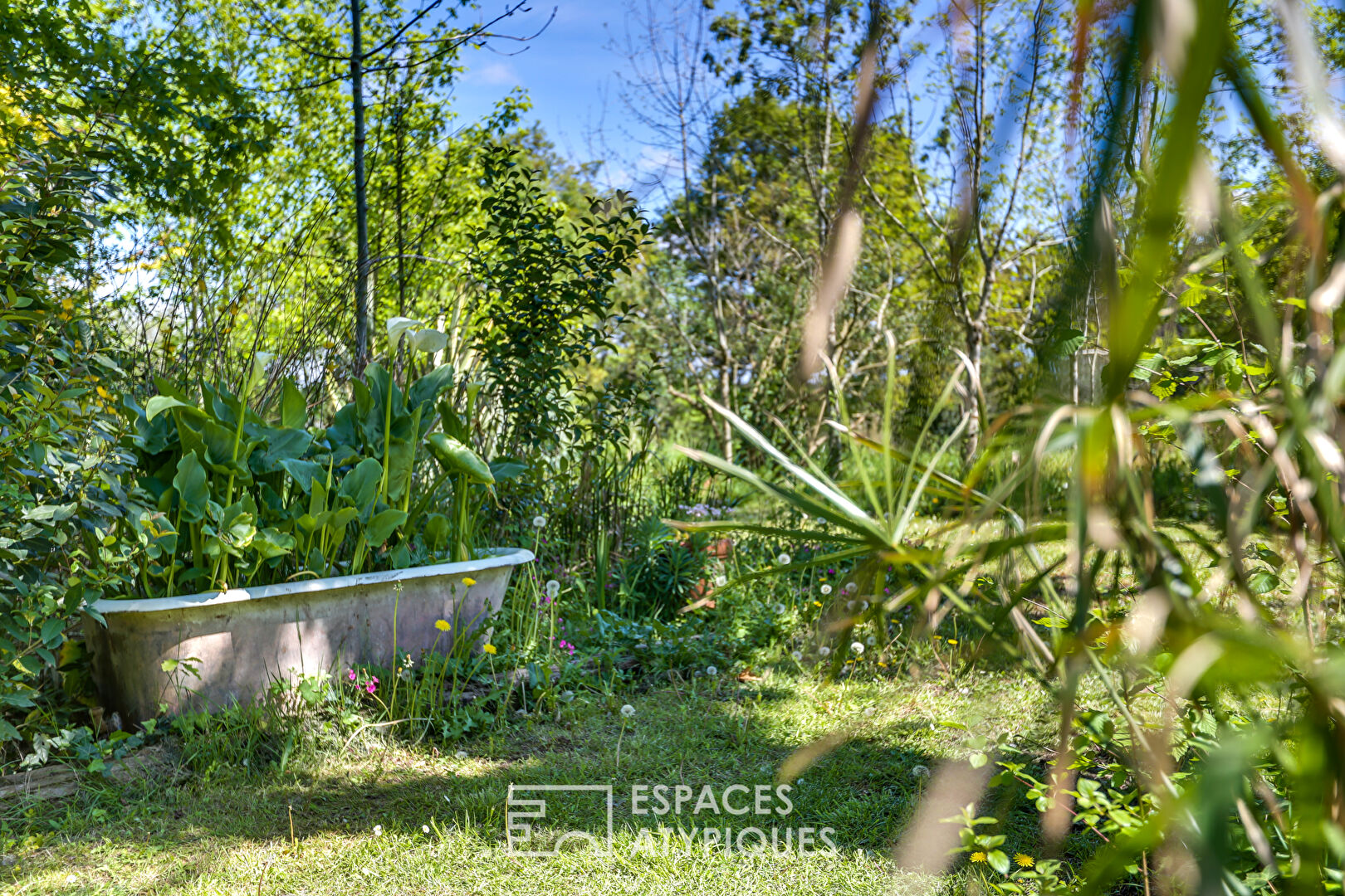 Renovated farmhouse in the heart of Chalosse