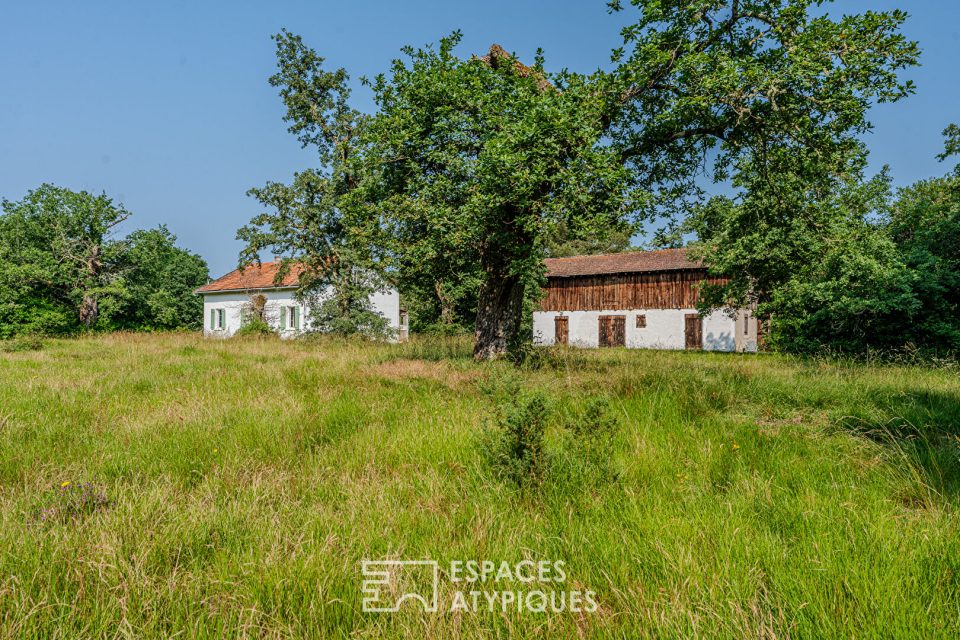 Maison historique de résinier au coeur du Parc Naturel des Landes