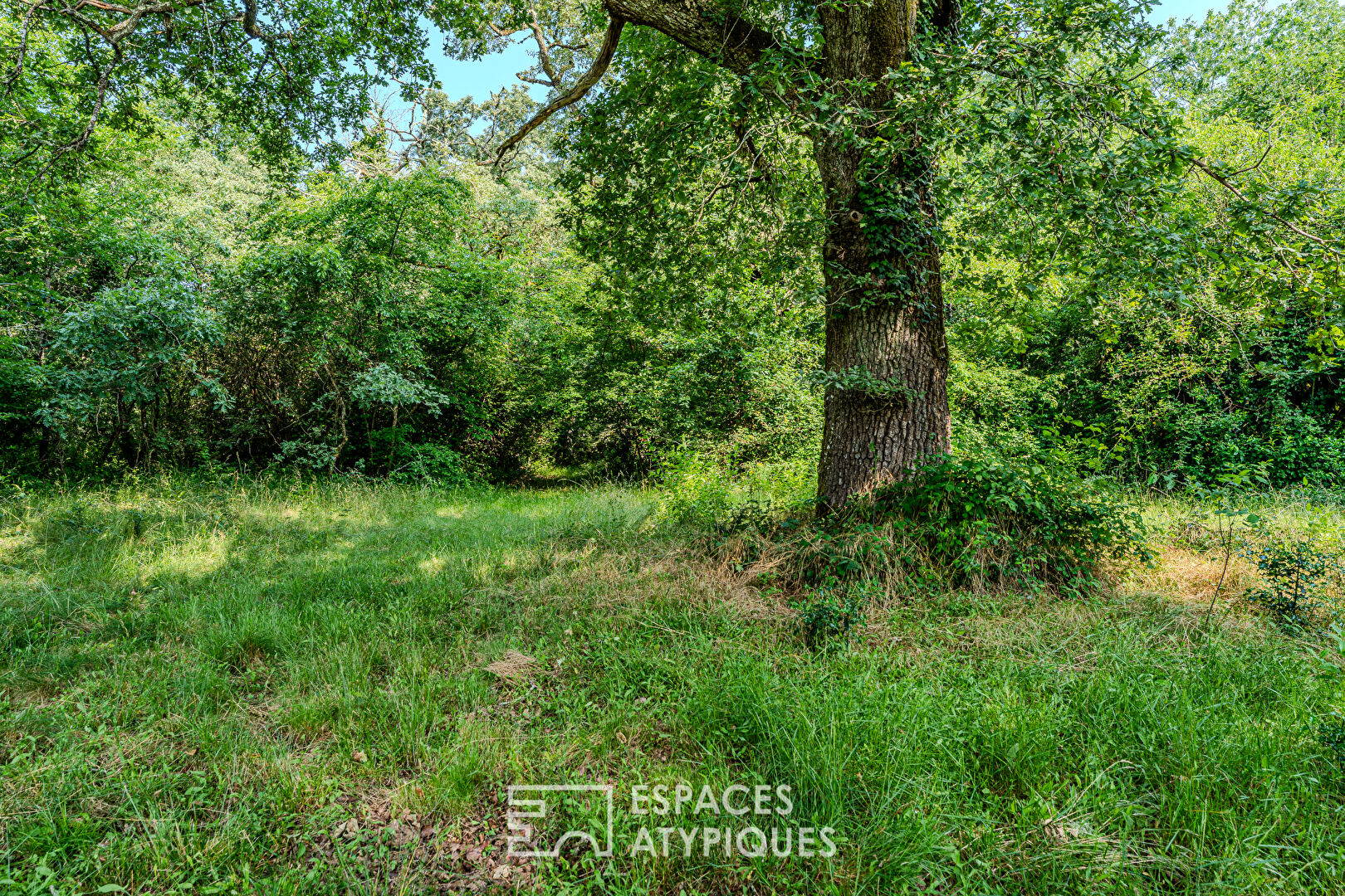 Maison historique de résinier au coeur du Parc Naturel des Landes