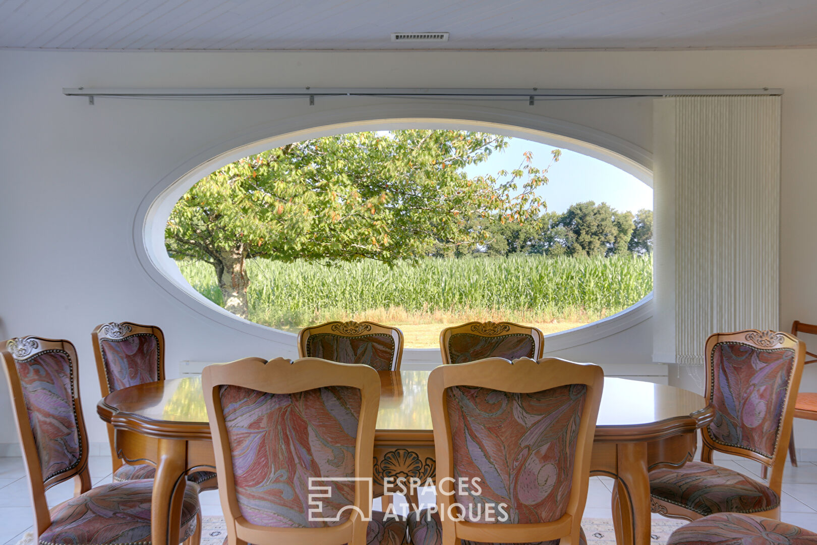 Contemporary star-shaped villa in a green setting
