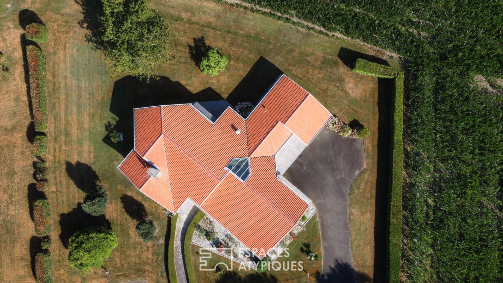 Contemporary star-shaped villa in a green setting