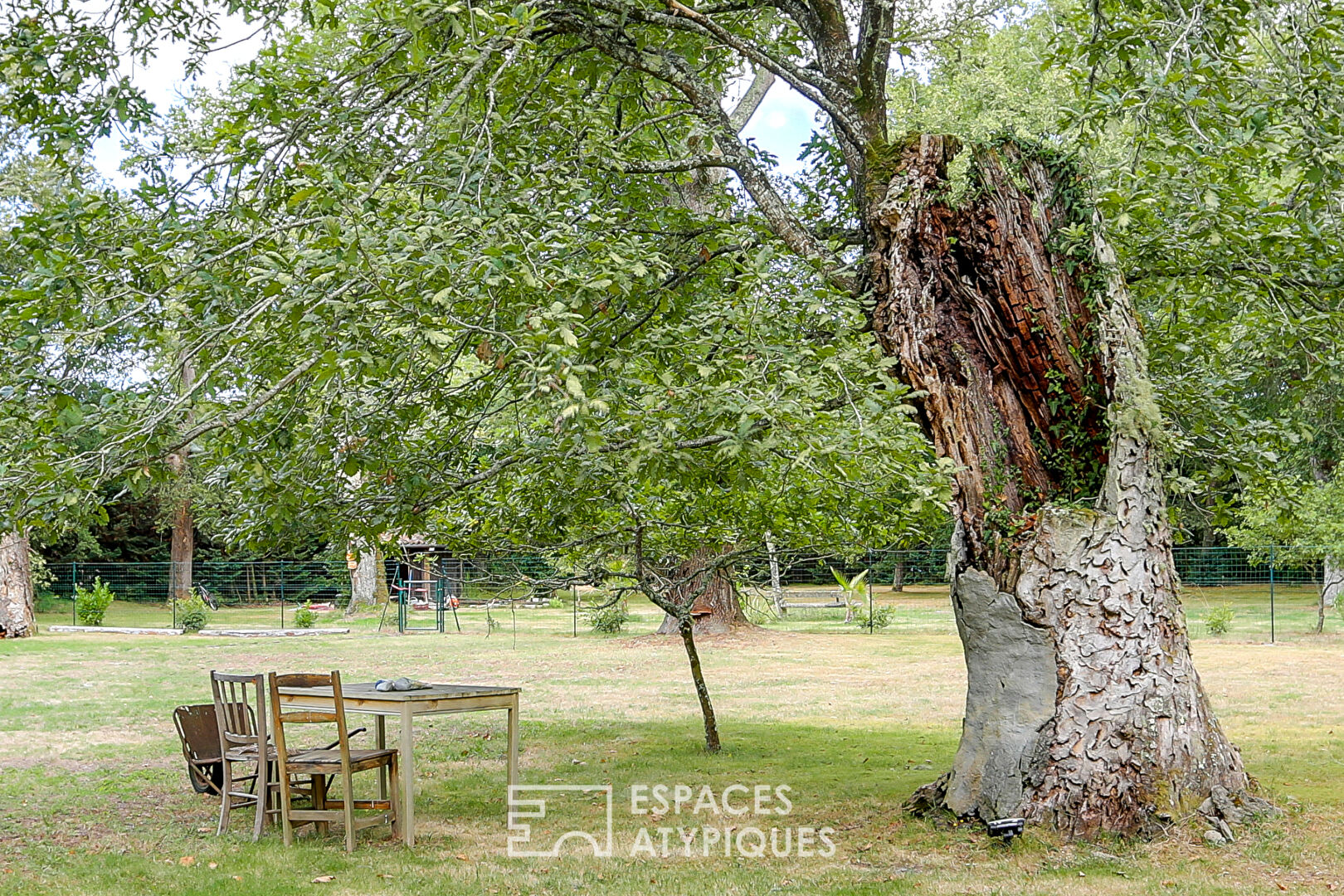 Airial landais du XIXe siècle rénové, piscine et parc arboré à 10 min de l’océan