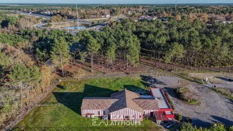 Murs de restaurant entre forêt et océan