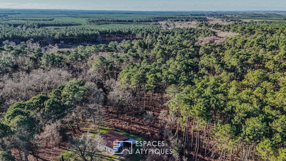 Maison Forestière Landaise : un havre de paix aux multiples projets